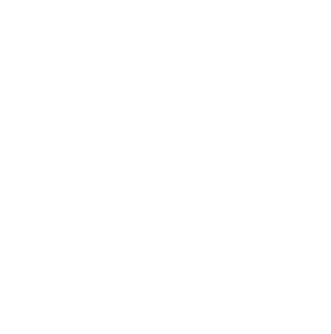 Higher Standards Dental Studio white logo